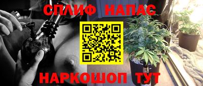 эйфоретик Сибай