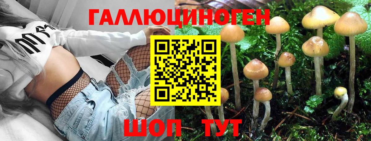 Псилоцибиновые грибы мицелий Королёв