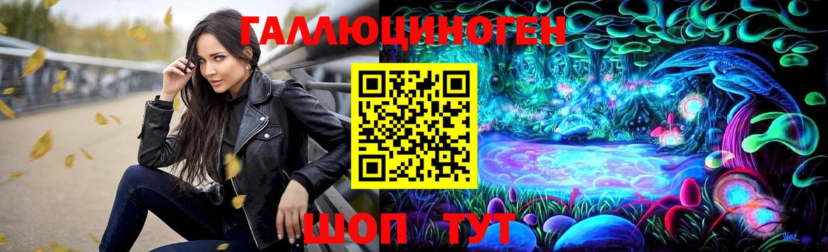 Королёв  Псилоцибиновые грибы MAGIC MUSHROOMS  Вход с VPN 
